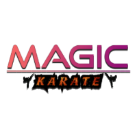 Magic Karate