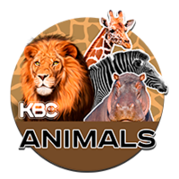 KBC-Animals