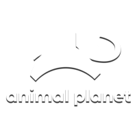 Animal Planet PL