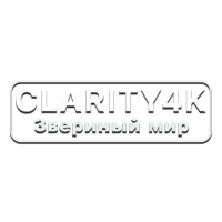 Clarity4K Звериный мир