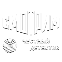 Честный детектив